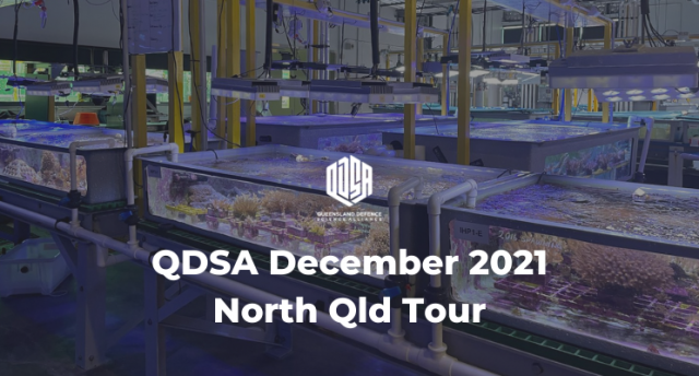 North Qld Tour Blog Heaader North Queensland Tour December 2021